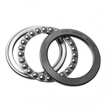 Nukr90 Curve Needle Roller Bearing with Low Noise (NUKR35/NUKR40/NUKR47/NUKR52/NUKR62/NUKR72/NUKR80/NUKRE52X)