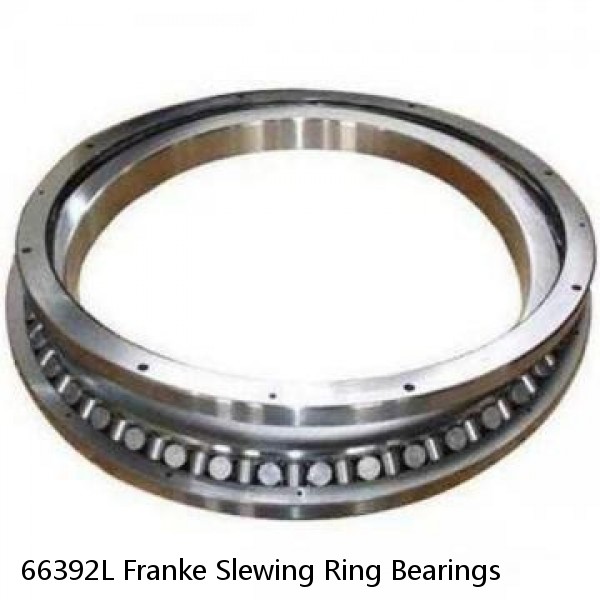 66392L Franke Slewing Ring Bearings