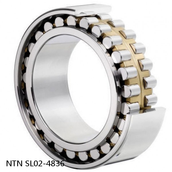 SL02-4836 NTN Cylindrical Roller Bearing