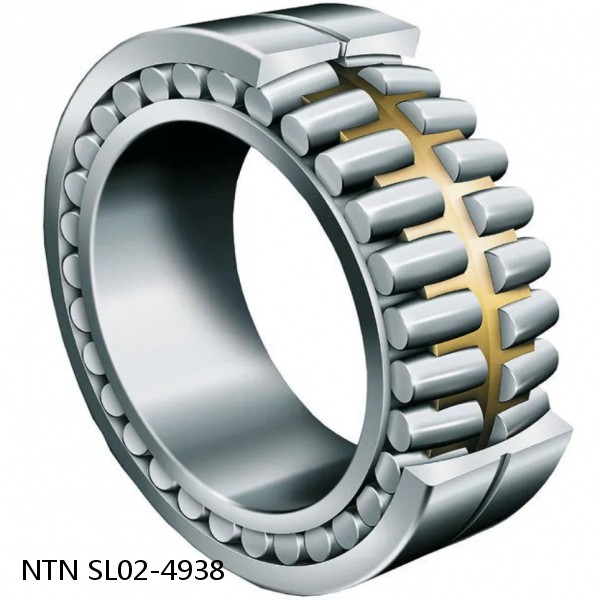 SL02-4938 NTN Cylindrical Roller Bearing