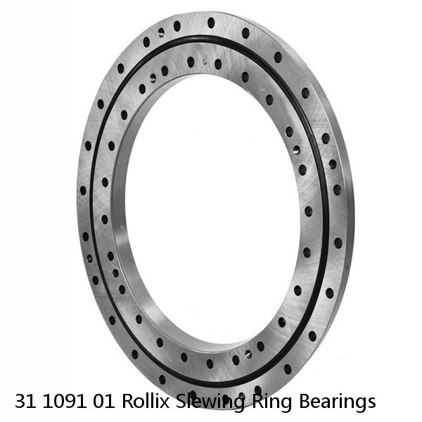 31 1091 01 Rollix Slewing Ring Bearings