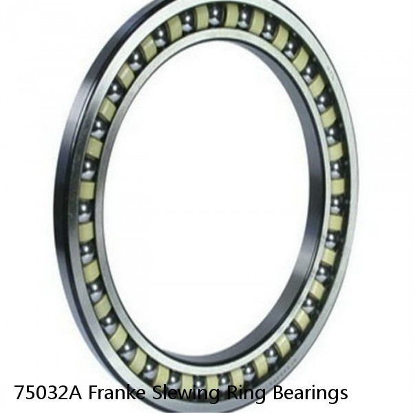 75032A Franke Slewing Ring Bearings