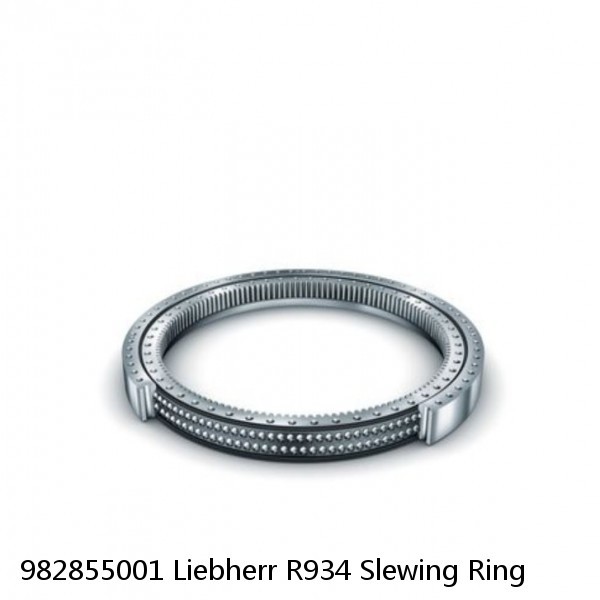 982855001 Liebherr R934 Slewing Ring