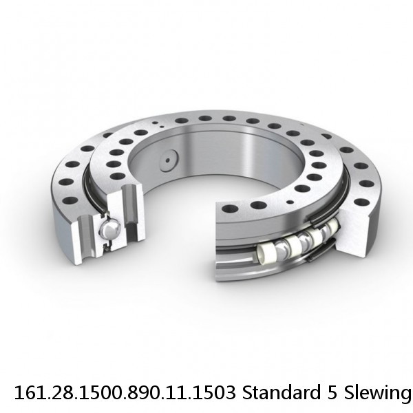 161.28.1500.890.11.1503 Standard 5 Slewing Ring Bearings