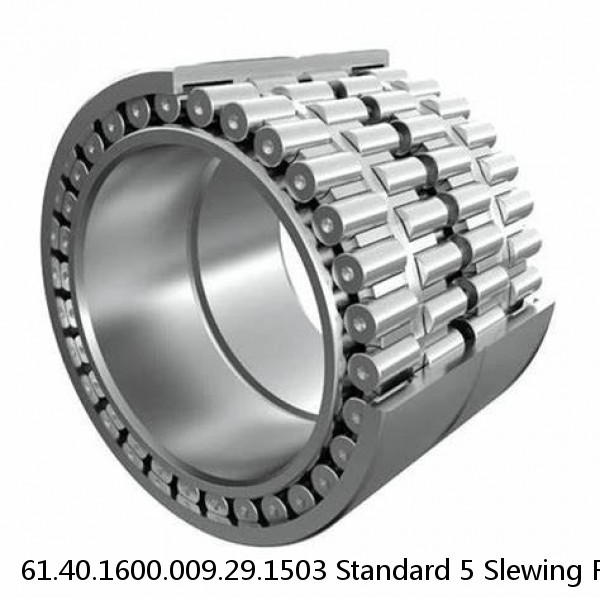 61.40.1600.009.29.1503 Standard 5 Slewing Ring Bearings