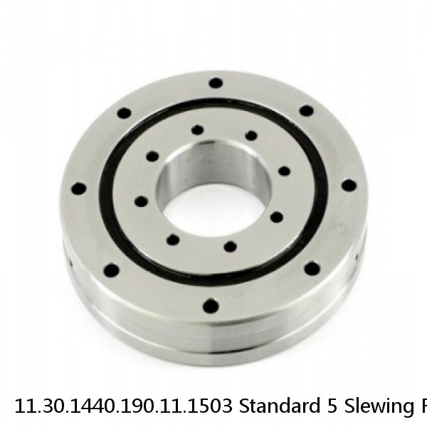 11.30.1440.190.11.1503 Standard 5 Slewing Ring Bearings