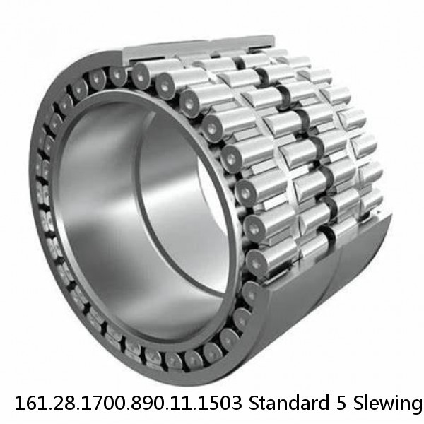 161.28.1700.890.11.1503 Standard 5 Slewing Ring Bearings