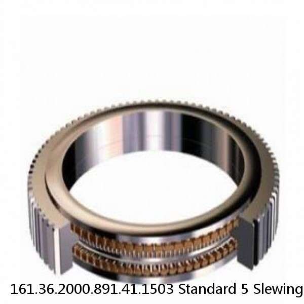 161.36.2000.891.41.1503 Standard 5 Slewing Ring Bearings