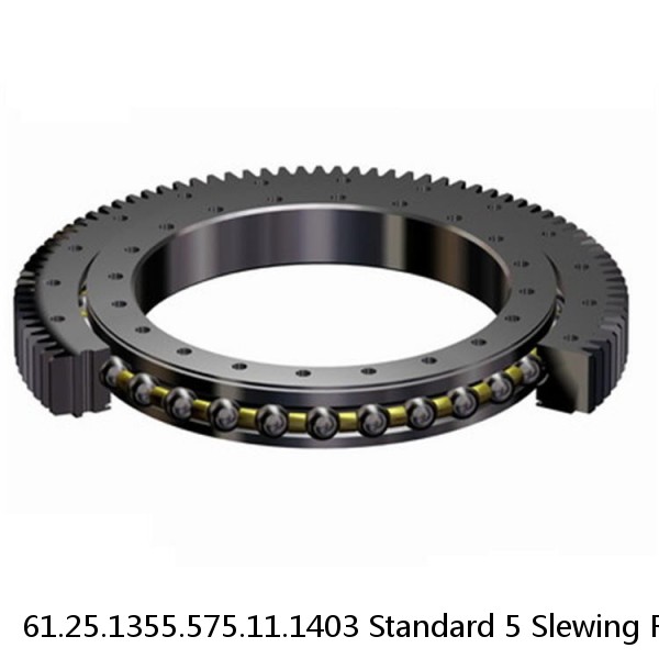 61.25.1355.575.11.1403 Standard 5 Slewing Ring Bearings