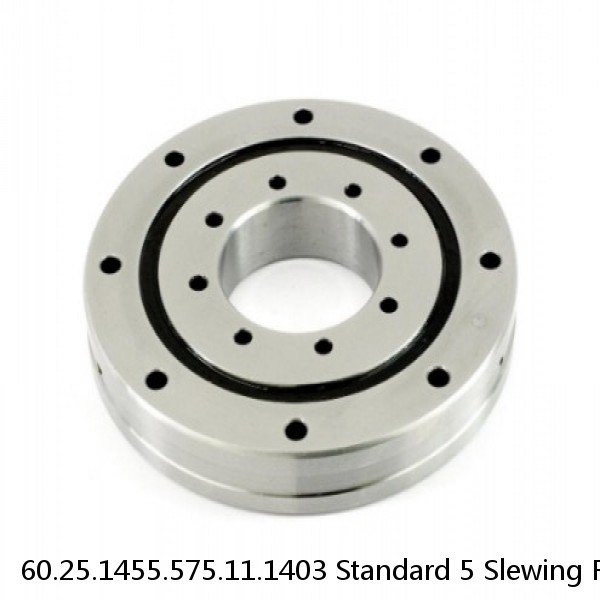 60.25.1455.575.11.1403 Standard 5 Slewing Ring Bearings