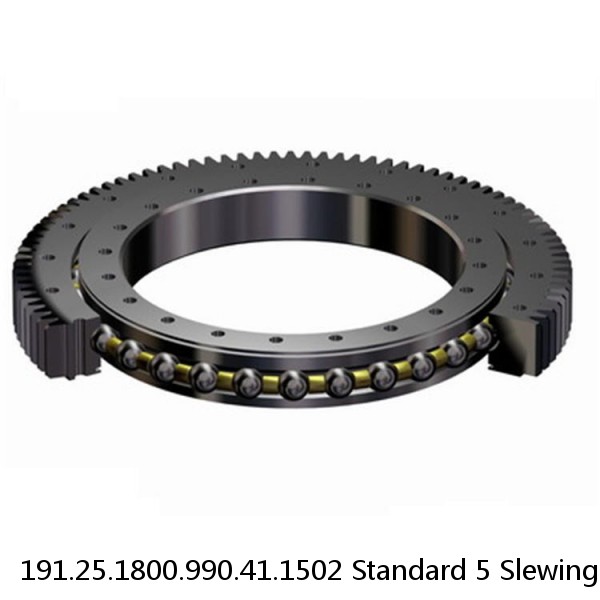 191.25.1800.990.41.1502 Standard 5 Slewing Ring Bearings