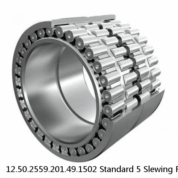 12.50.2559.201.49.1502 Standard 5 Slewing Ring Bearings