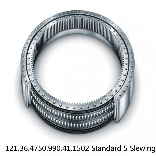 121.36.4750.990.41.1502 Standard 5 Slewing Ring Bearings