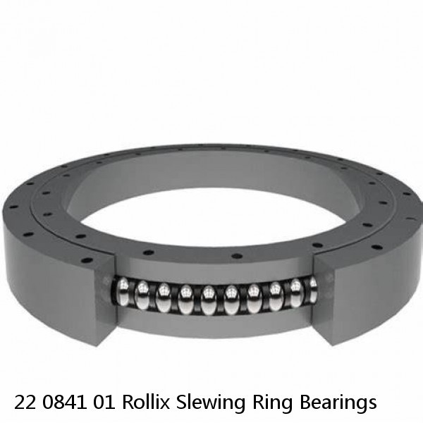 22 0841 01 Rollix Slewing Ring Bearings