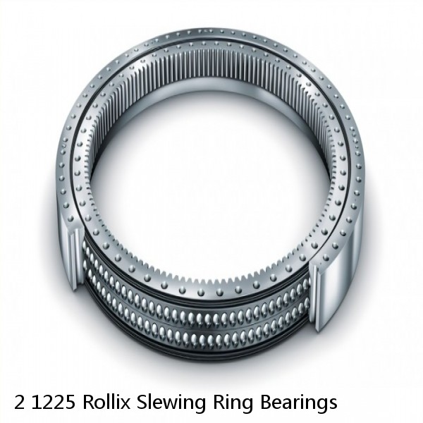 2 1225 Rollix Slewing Ring Bearings