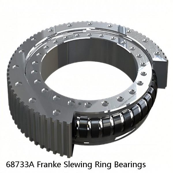 68733A Franke Slewing Ring Bearings